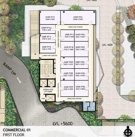 Site Plan 1