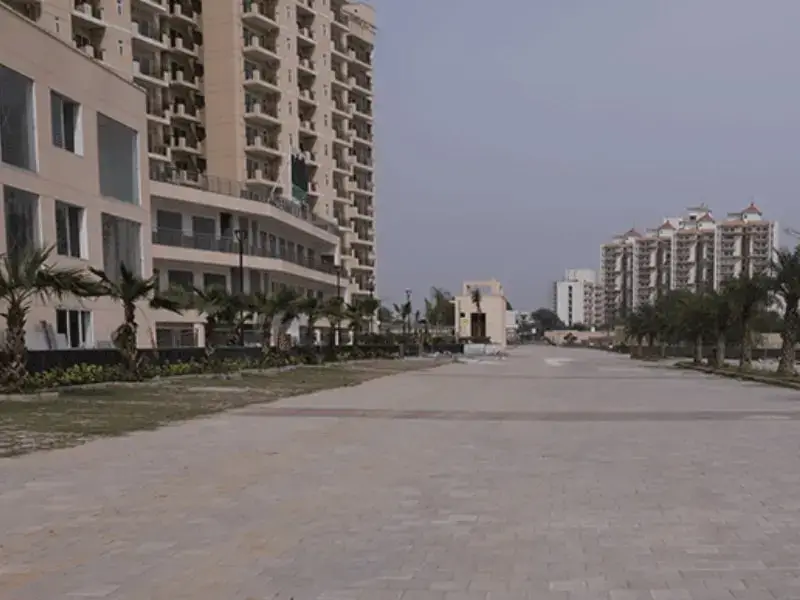 Orchard Avenue