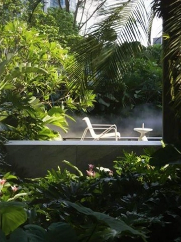 Biophilic Design 1
