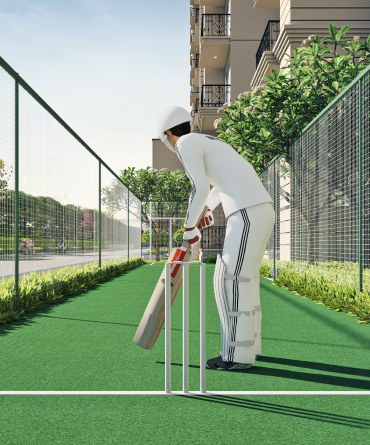 Cricket Net