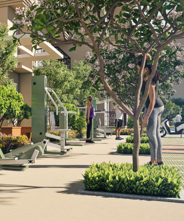 Outdoor Gym