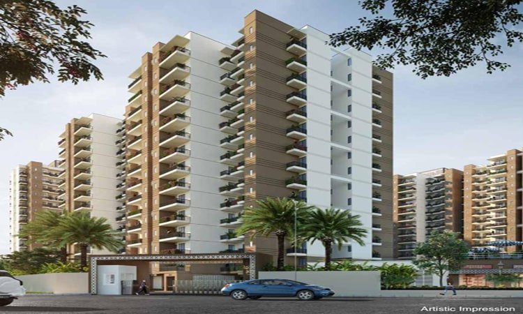 Wal Verde 92 - Image 2